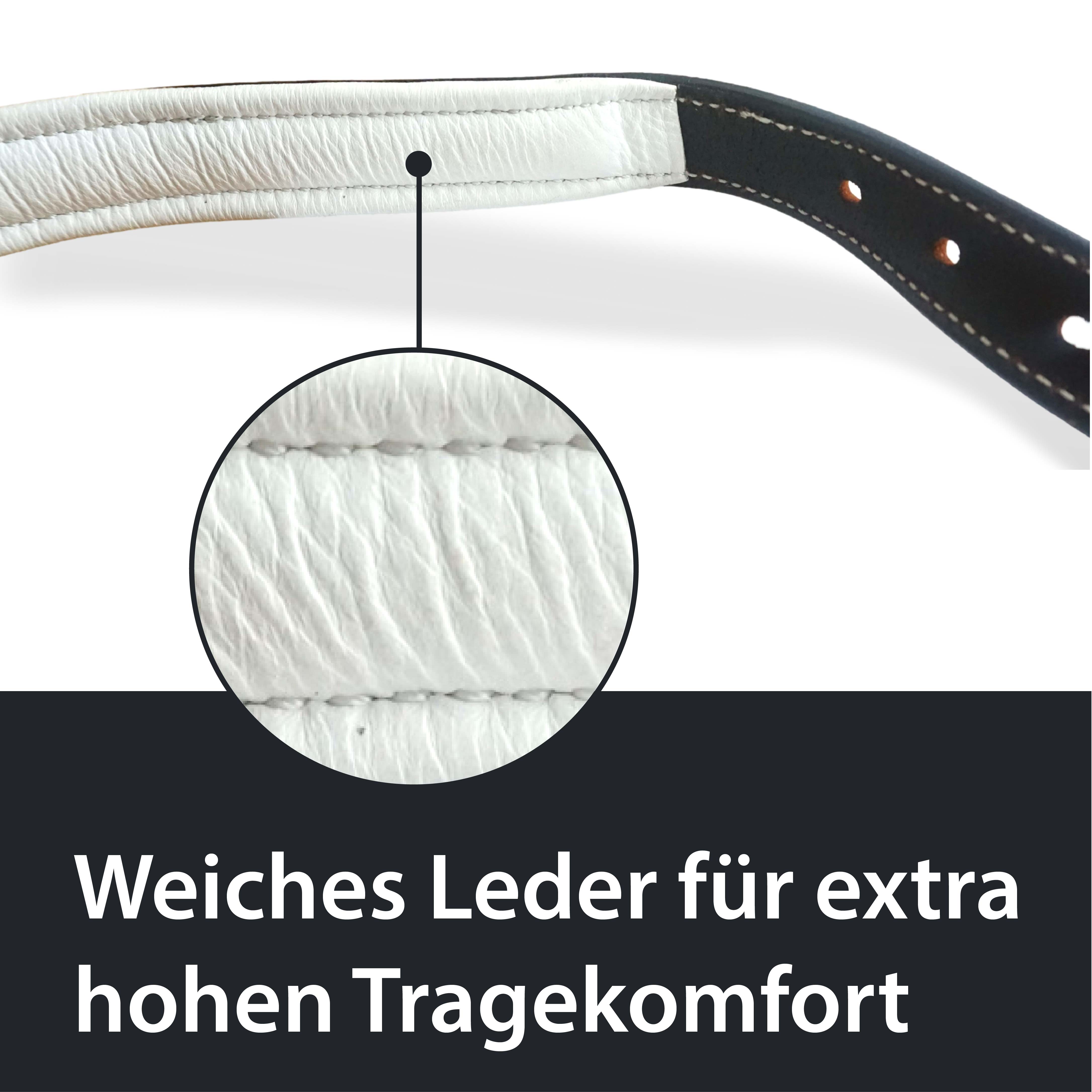 Lederhalfter in schwarz, weiß unterlegt Premium Stallhalfter